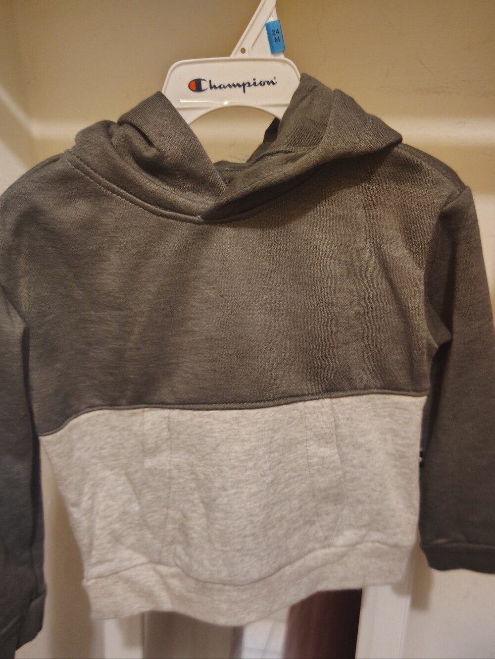Champion Kids Two-Tone Gray and Light Gray Hooded Sweatshirt